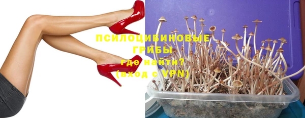 мдпв Елизово