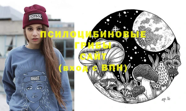 мдпв Елизово