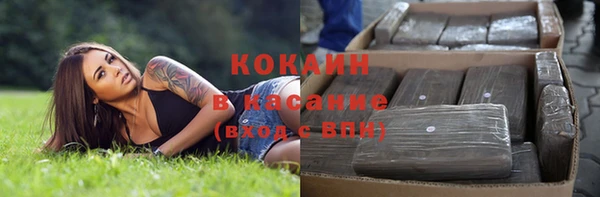 мдпв Елизово