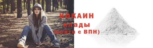 мдпв Елизово