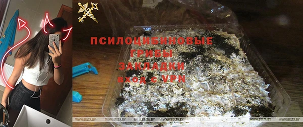 мдпв Елизово