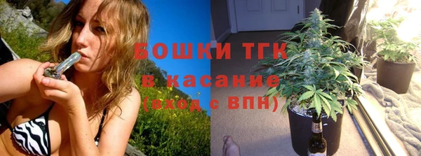мдпв Елизово
