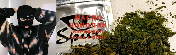 мдма Ельня