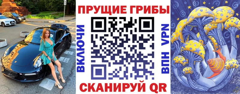 ссылка на мегу онион  Каргополь  Галлюциногенные грибы мицелий 
